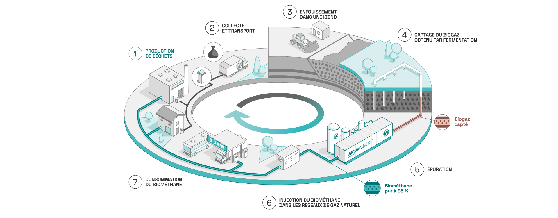 Schéma représentant la place de Waga Energy et de la WAGABOX dans l’économie circulaire. Étape 1 : Production des déchets par les particuliers et les industriels. Étape 2 : Collecte et transport de ces déchets. Étape 3 : Enfouissement des déchets dans une Installation de Stockage des Déchets non dangereux (ISDND). Étape 4 : Captage du biogaz obtenu par la fermentation des déchets enfouis. Étape 5 : Épuration du biogaz. Étape 6 : Injection du biométhane pur à 98 % dans les réseau de gaz naturel. Étape 7 : Consommation du biométhane par les particuliers et industriels.