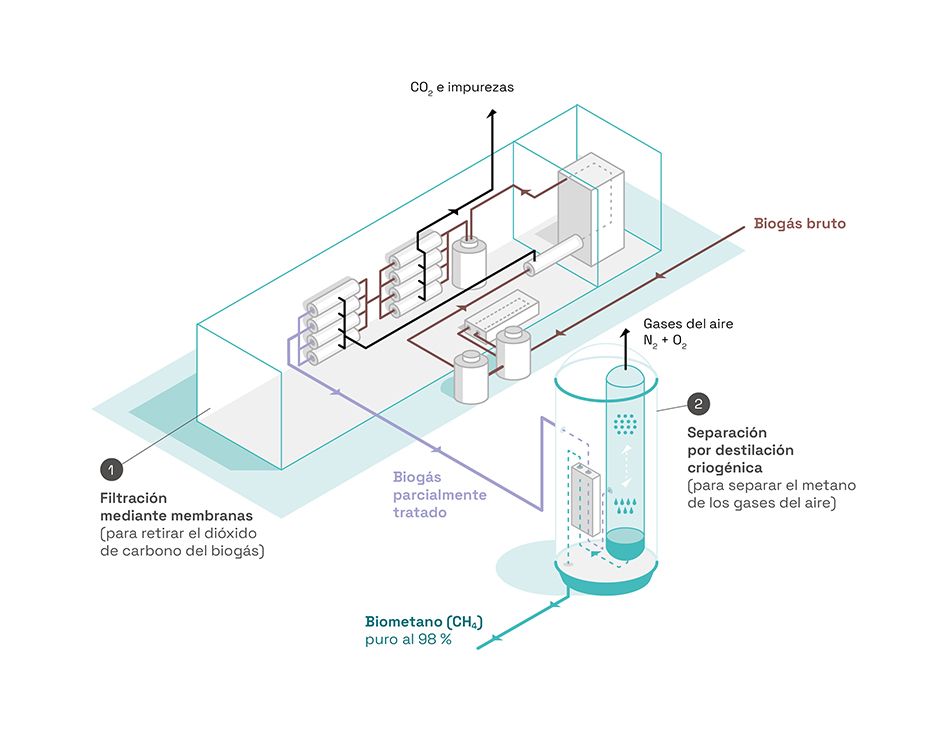 Diagrama explicativo de la tecnología WAGABOX. El biogás bruto se trata mediante filtración por membrana para separar el dióxido de carbono del metano. Las impurezas y el CO2 presentes en el gas se expulsan del circuito. A continuación, el biogás parcialmente tratado pasa por el módulo de separación criogénica, que utiliza nitrógeno para separar el metano de los gases del aire. Los gases del aire se expulsan del circuito. El biometano, con una pureza del 98%, se inyecta en la red de distribución de gas.
