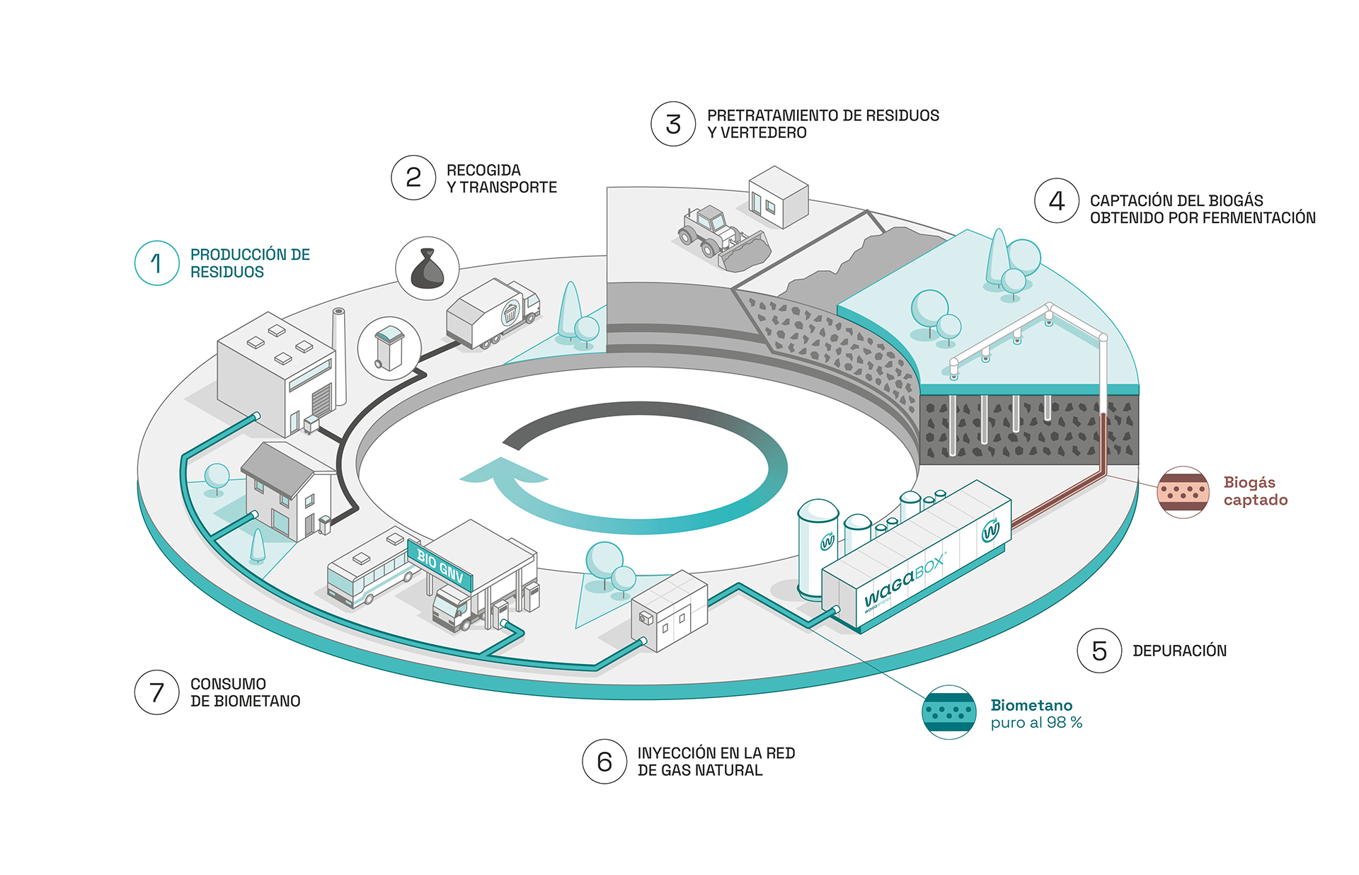 Diagrama que muestra el lugar de Waga Energy y el WAGABOX en la economía circular. Etapa 1: Producción de residuos por los particulares y la industria. Etapa 2: Recogida y transporte de estos residuos. Etapa 3: Enterramiento de los residuos en una instalación de almacenamiento de residuos no peligrosos (ISDND). Etapa 4: Captación del biogás producido por fermentación de los residuos enterrados. Etapa 5: Depuración del biogás. Etapa 6: Inyección de biometano con una pureza del 98% en la red de gas natural. Etapa 7: Consumo de biometano por los clientes residenciales e industriales.