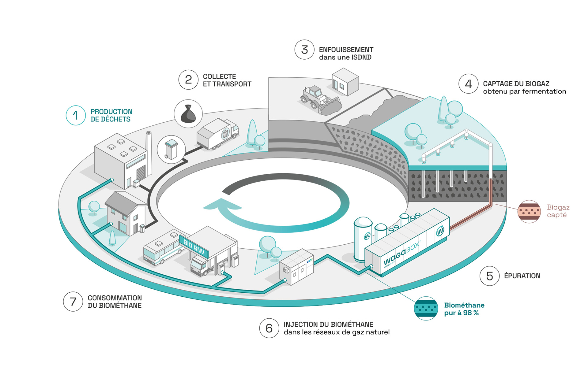 Schéma représentant la place de Waga Energy et de la WAGABOX dans l’économie circulaire. Étape 1 : Production des déchets par les particuliers et les industriels. Étape 2 : Collecte et transport de ces déchets. Étape 3 : Enfouissement des déchets dans une Installation de Stockage des Déchets non dangereux (ISDND). Étape 4 : Captage du biogaz obtenu par la fermentation des déchets enfouis. Étape 5 : Épuration du biogaz. Étape 6 : Injection du biométhane pur à 98 % dans les réseau de gaz naturel. Étape 7 : Consommation du biométhane par les particuliers et industriels.