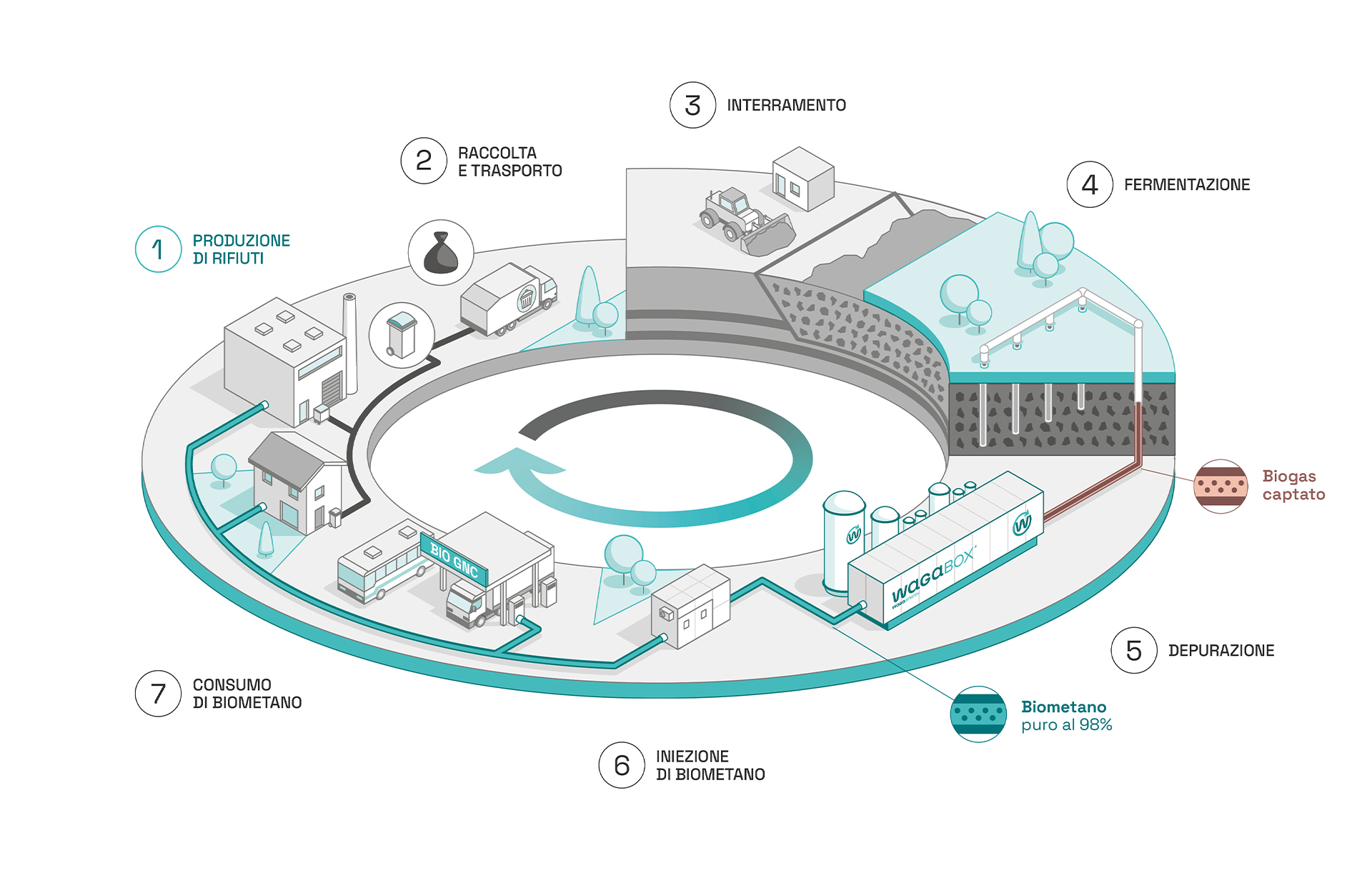 Diagramma che illustra il ruolo di Waga Energy e della WAGABOX nell'economia circolare. Fase 1: produzione di rifiuti da parte di privati e industrie. Fase 2: raccolta e trasporto dei rifiuti. Fase 3: interramento dei rifiuti in un impianto di stoccaggio di rifiuti non pericolosi (ISDND). Fase 4: cattura del biogas prodotto dalla fermentazione dei rifiuti interrati. Fase 5: purificazione del biogas. Fase 6: iniezione di biometano puro al 98% nella rete del gas naturale. Fase 7: consumo di biometano da parte di clienti residenziali e industriali.