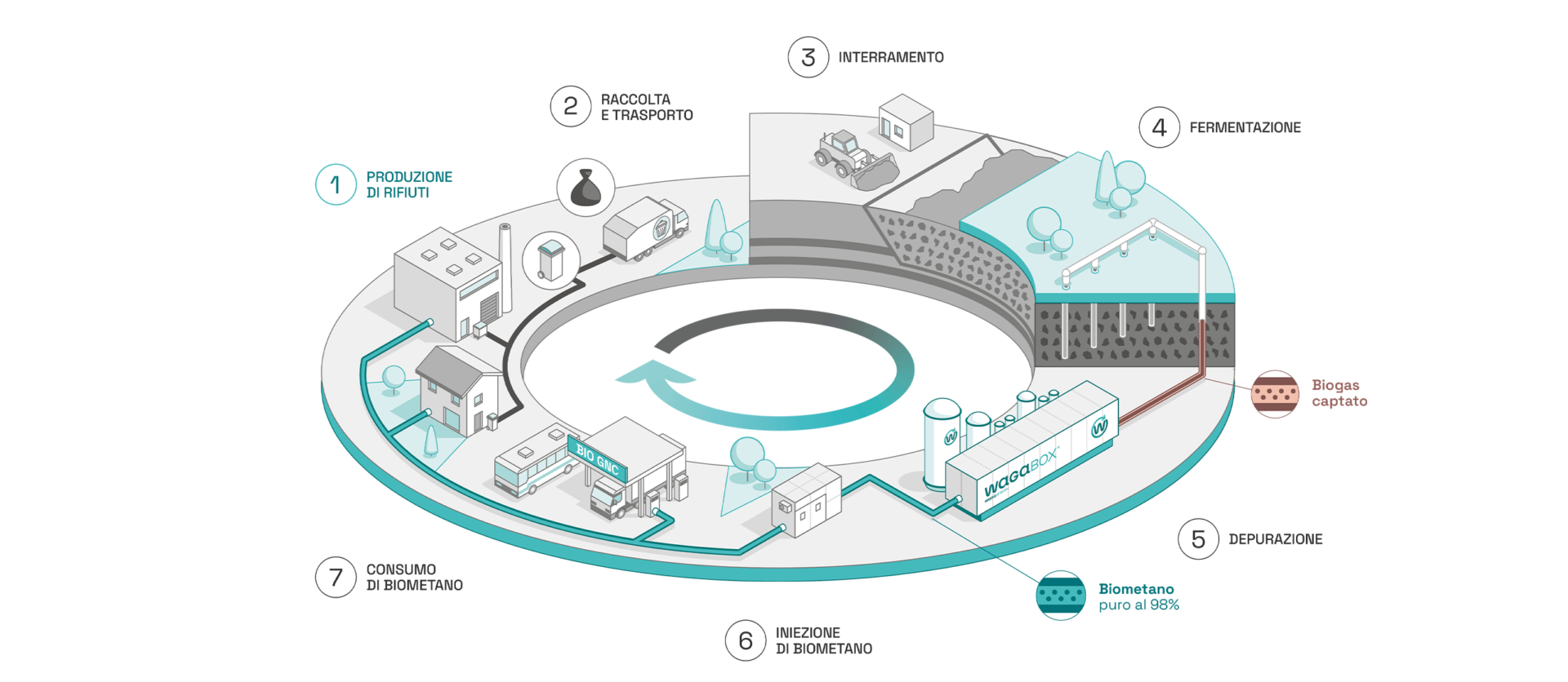 Diagramma che illustra il ruolo di Waga Energy e della WAGABOX nell'economia circolare. Fase 1: produzione di rifiuti da parte di privati e industrie. Fase 2: raccolta e trasporto dei rifiuti. Fase 3: interramento dei rifiuti in un impianto di stoccaggio di rifiuti non pericolosi (ISDND). Fase 4: cattura del biogas prodotto dalla fermentazione dei rifiuti interrati. Fase 5: purificazione del biogas. Fase 6: iniezione di biometano puro al 98% nella rete del gas naturale. Fase 7: consumo di biometano da parte di clienti residenziali e industriali.