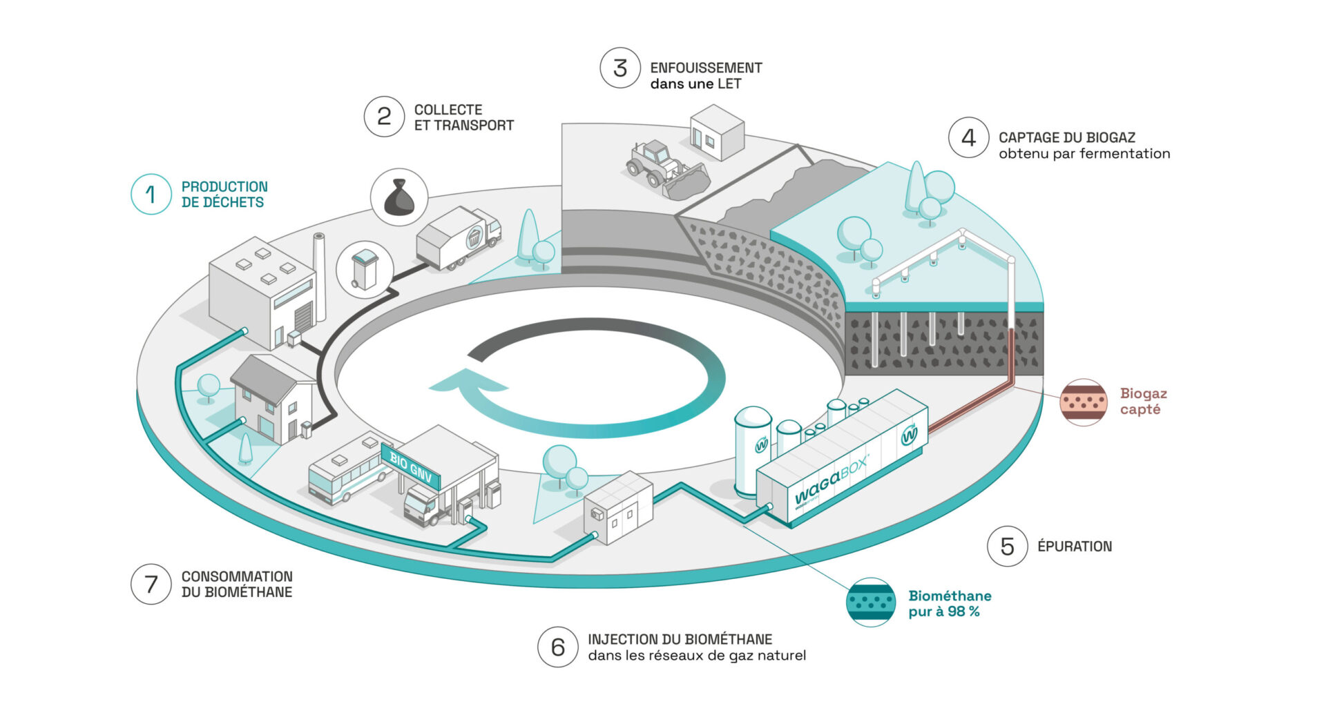 Schéma représentant la place de Waga Energy et de la WAGABOX dans l’économie circulaire. Étape 1 : Production des déchets par les particuliers et les industriels. Étape 2 : Collecte et transport de ces déchets. Étape 3 : Enfouissement des déchets dans une Installation de Stockage des Déchets non dangereux (ISDND). Étape 4 : Captage du biogaz obtenu par la fermentation des déchets enfouis. Étape 5 : Épuration du biogaz. Étape 6 : Injection du biométhane pur à 98 % dans les réseau de gaz naturel. Étape 7 : Consommation du biométhane par les particuliers et industriels.