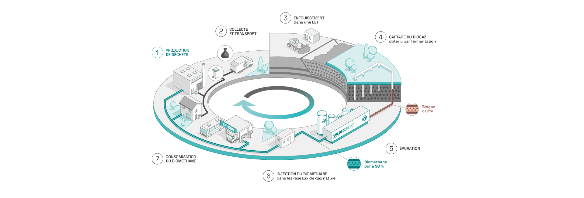 Schéma représentant la place de Waga Energy et de la WAGABOX dans l’économie circulaire. Étape 1 : Production des déchets par les particuliers et les industriels. Étape 2 : Collecte et transport de ces déchets. Étape 3 : Enfouissement des déchets dans une Installation de Stockage des Déchets non dangereux (ISDND). Étape 4 : Captage du biogaz obtenu par la fermentation des déchets enfouis. Étape 5 : Épuration du biogaz. Étape 6 : Injection du biométhane pur à 98 % dans les réseau de gaz naturel. Étape 7 : Consommation du biométhane par les particuliers et industriels.